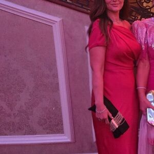 Amsale Pink Maxi Dress